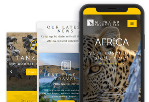 Africa Adventures Website Design